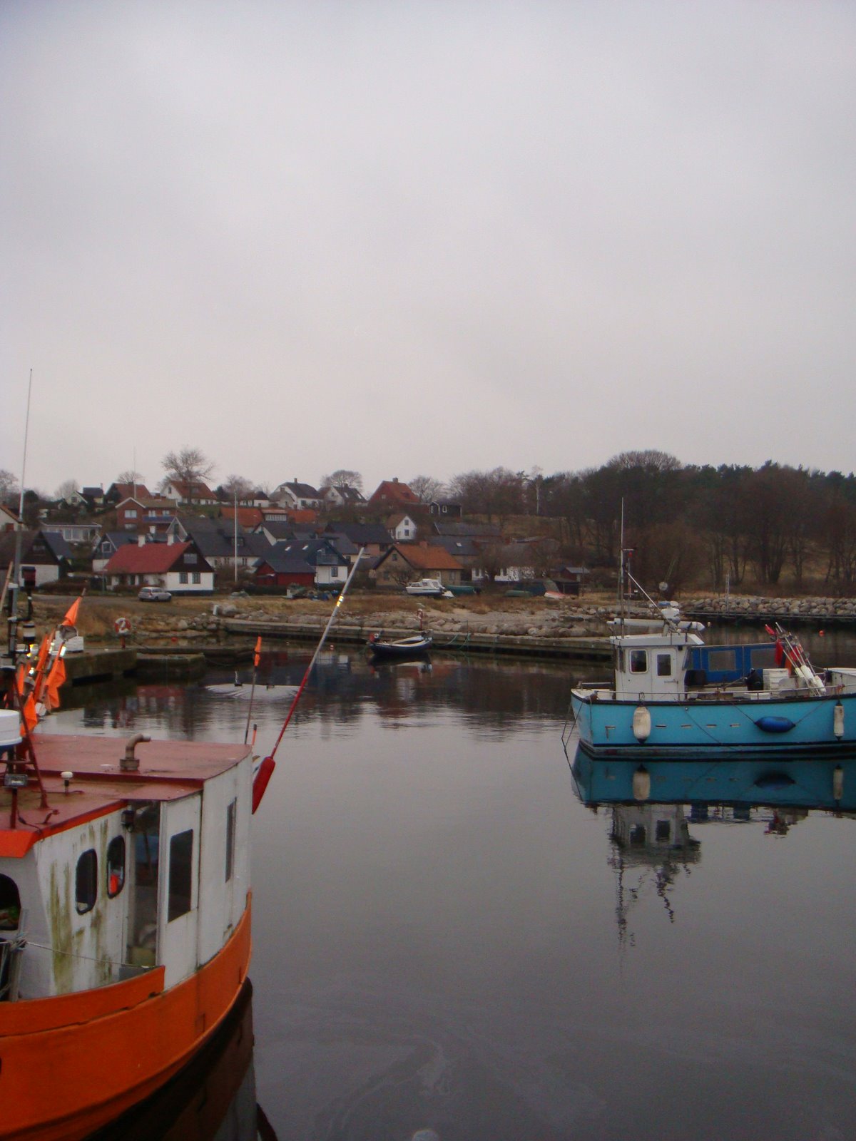 [DSC03124.JPG]