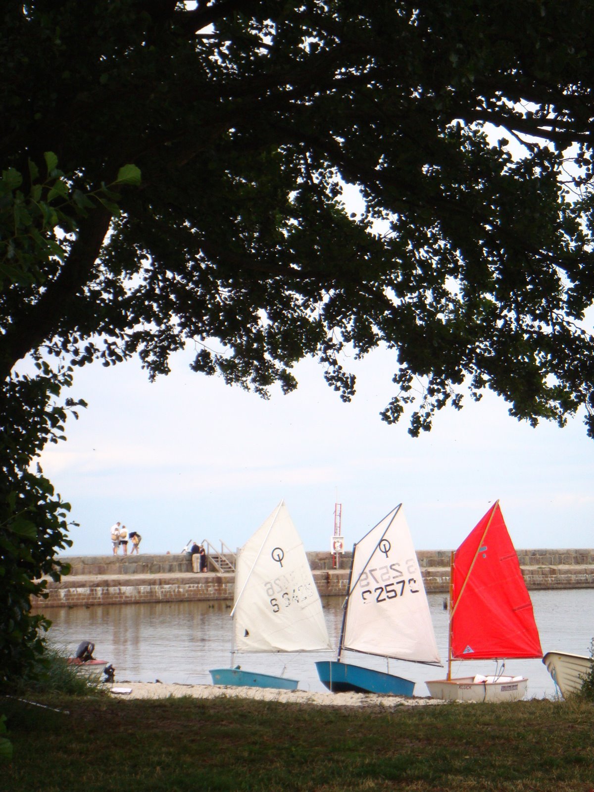 [DSC01382.JPG]