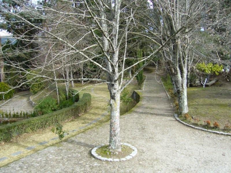 [P1070048.jpg]