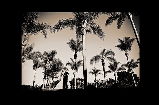 [weddings-at-ritz-carlton-laguna-beach.jpg]
