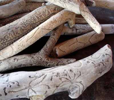 Worms In Wood