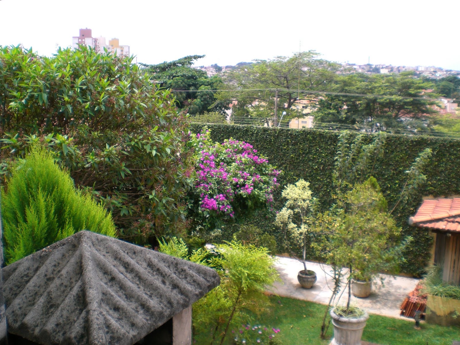 meu quintal meu jardim:Alguns cantinhos do meu quintal jardim que eu prezo demais..é meu quintal meu jardim:Alguns cantinhos do meu quintal jardim que eu prezo demais..é