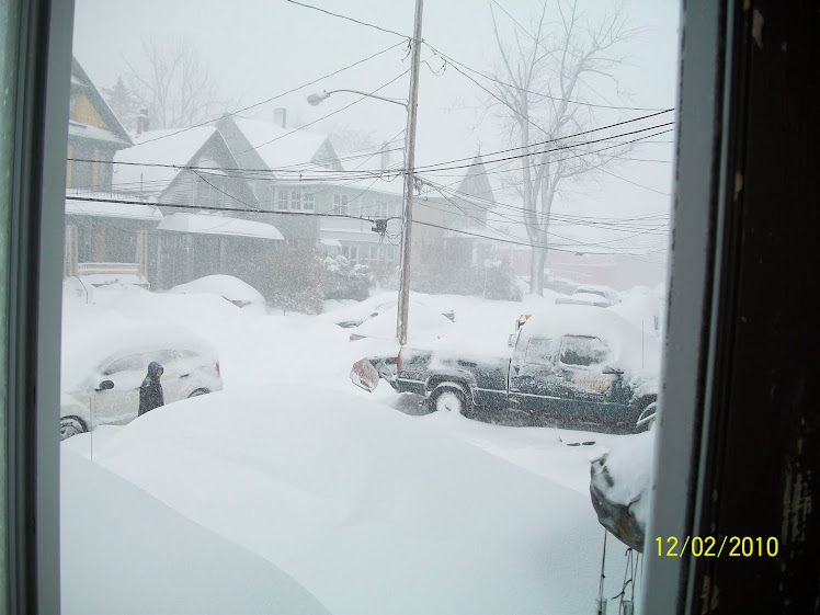Newest Snowfall 12-2-2010