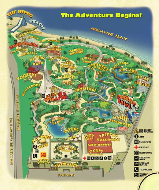 Download this Map Jungle Island picture