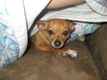 Toby
