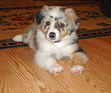 8 Weeks