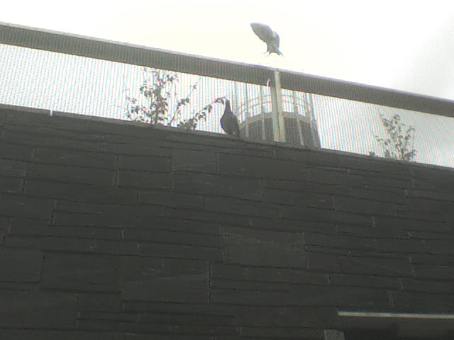 [DSC00712.JPG]
