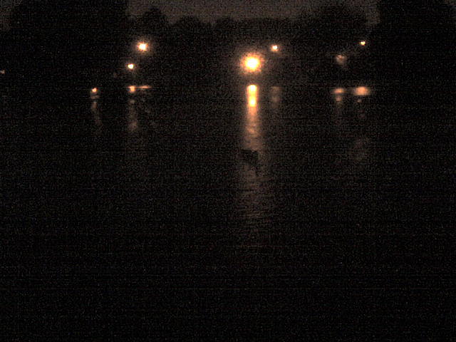 [DSC00944.JPG]