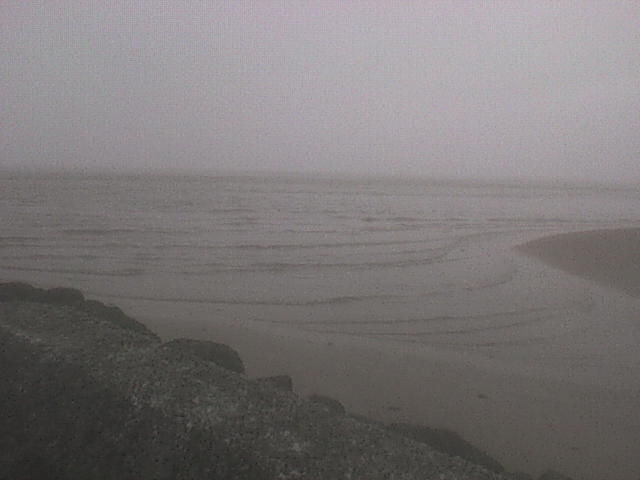 [DSC00214.JPG]