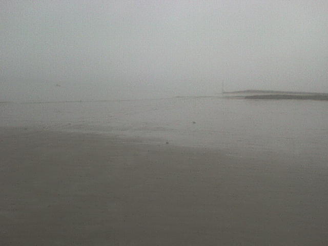 [DSC00181.JPG]