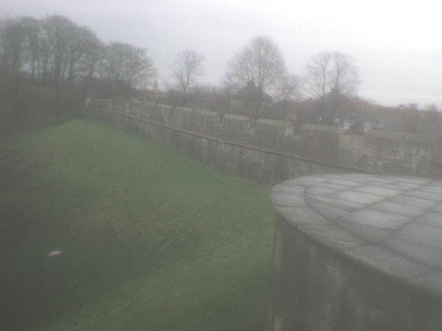 [DSC01504.JPG]