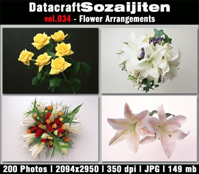 [Datacraft034-01.jpg]