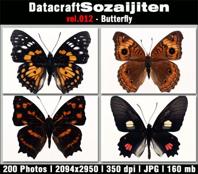 [Datacraft012.jpg]