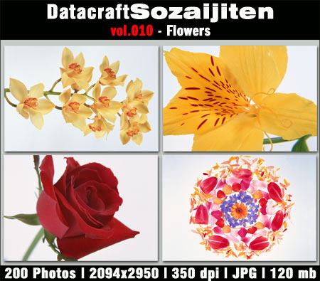 [Data010.jpg]
