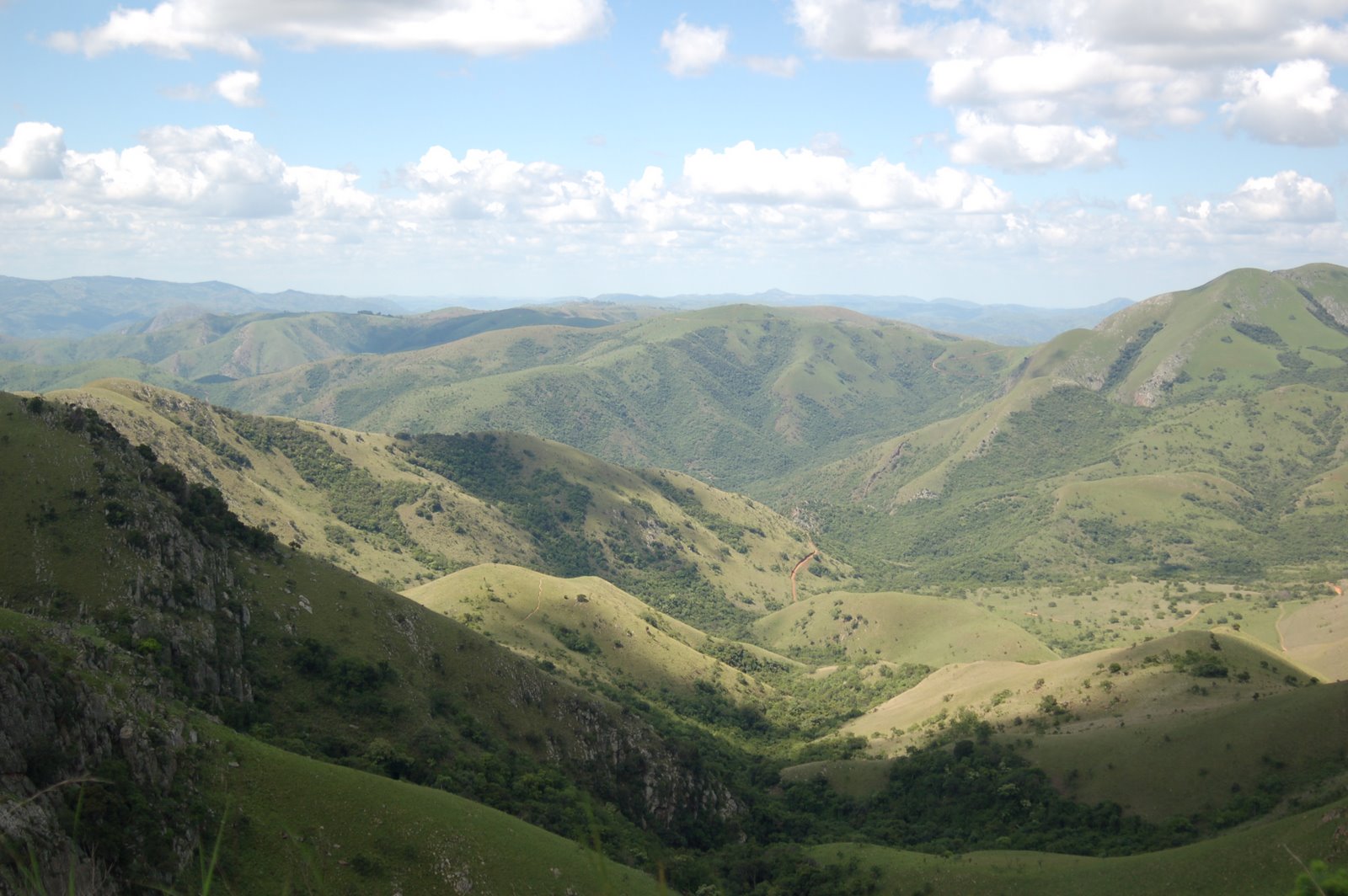 [DSC_2134.JPG]