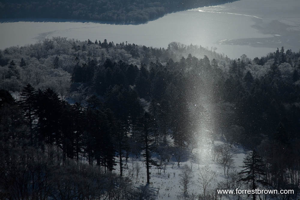[2010-02-04+Hokkaido_3291.jpg]