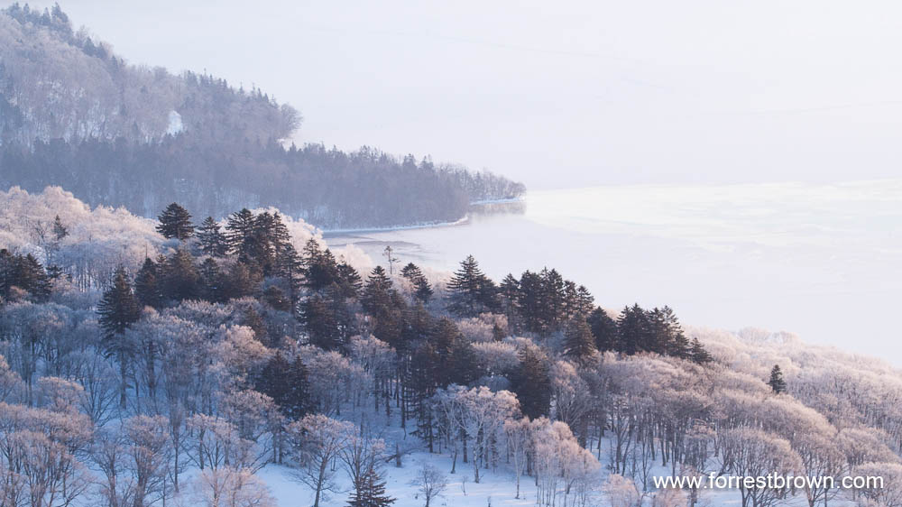 [2010-02-04+Hokkaido_1031.jpg]