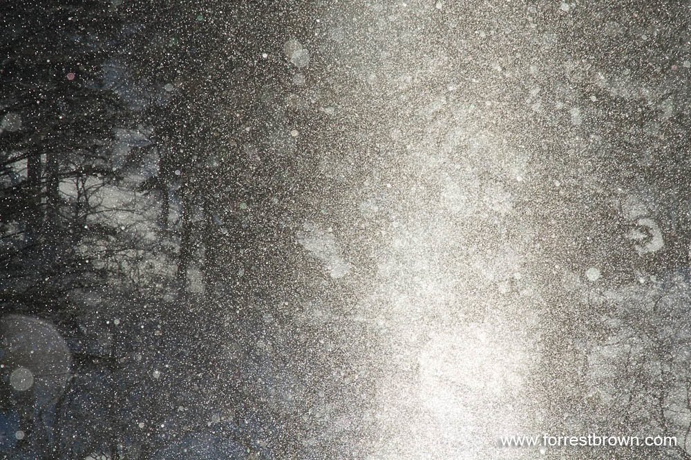 [2010-02-04+Hokkaido_1045.jpg]