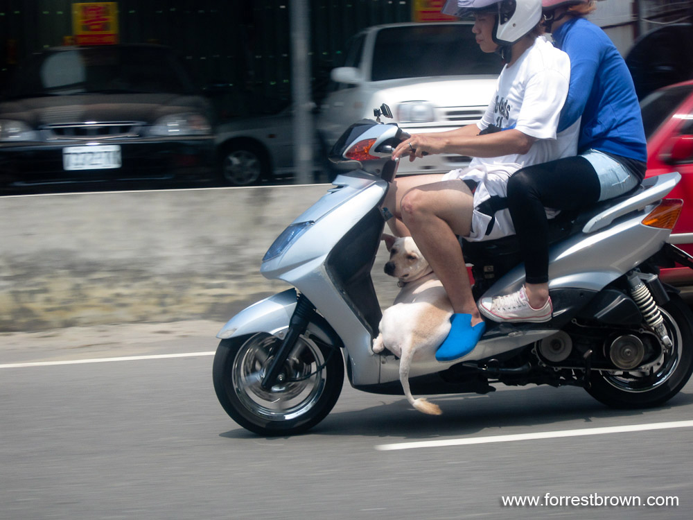 [2009-08-15+Taiwan_6558.jpg]