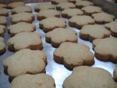 Oat Cookies