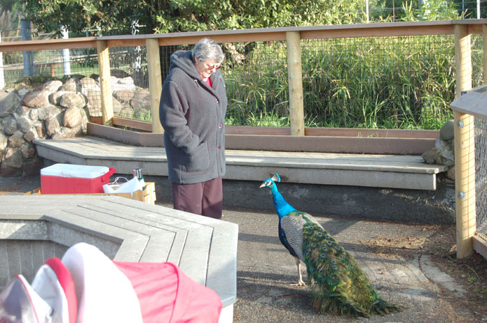 [DSC_0637.jpg]