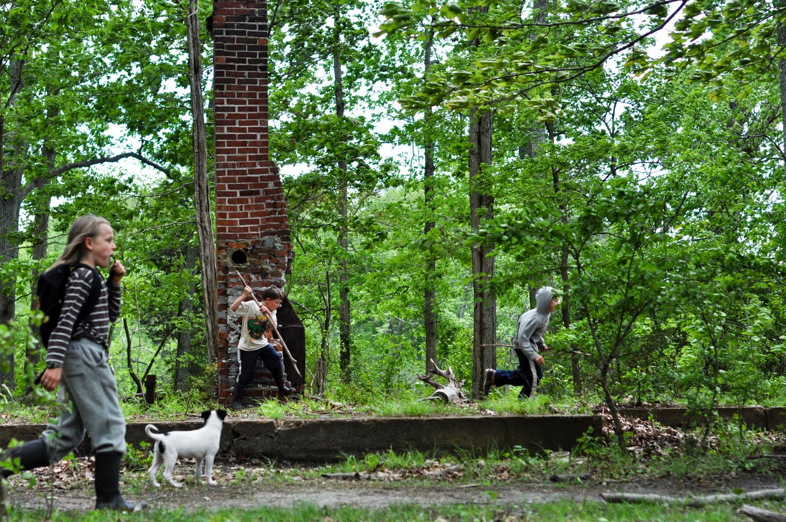 Purse State Park Fossil Hunt (and those ears!)