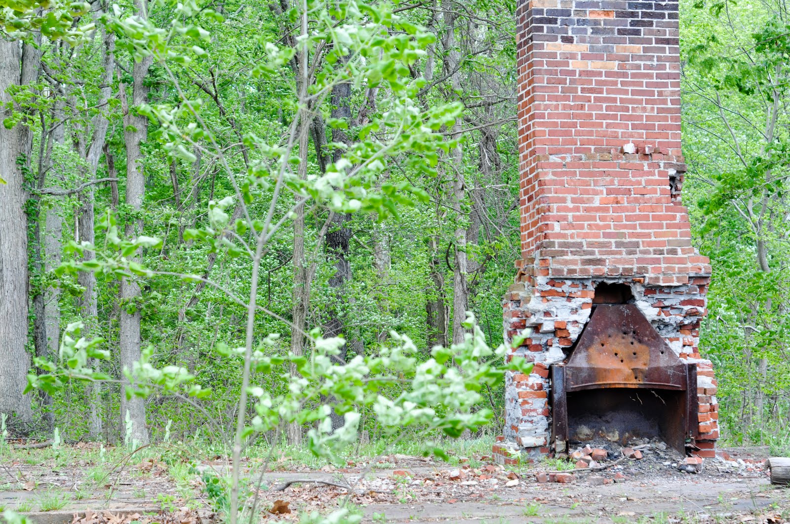 Purse State Park Fossil Hunt (and those ears!)
