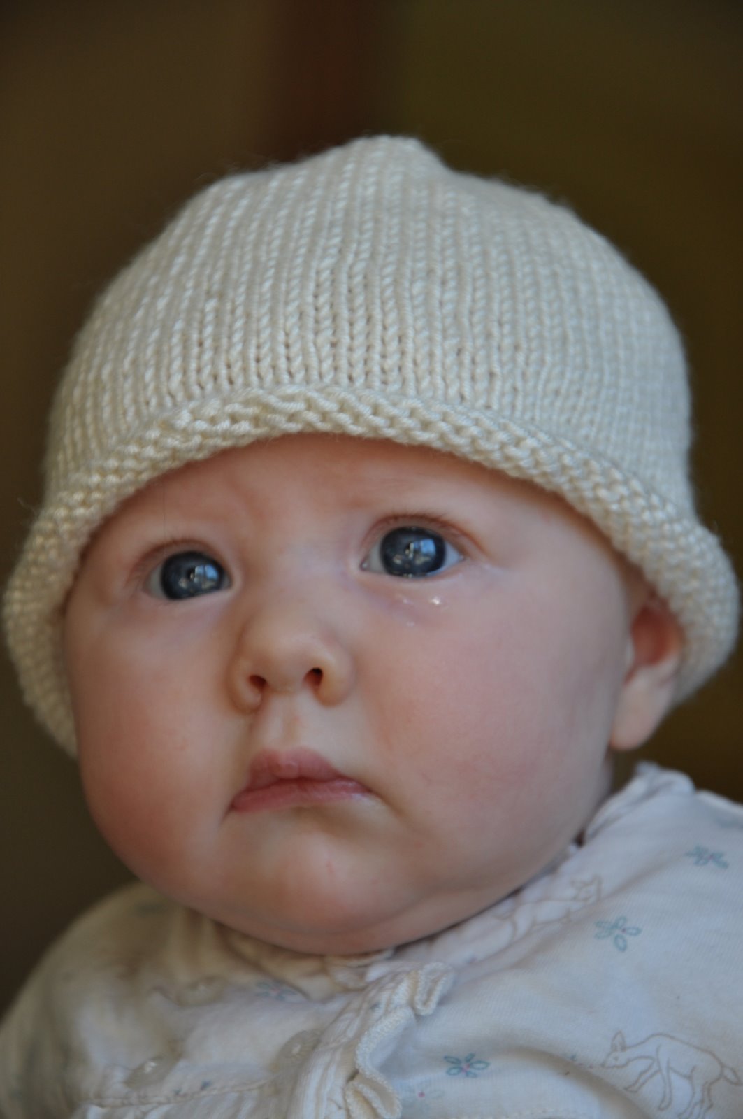 [DSC_0072.JPG]