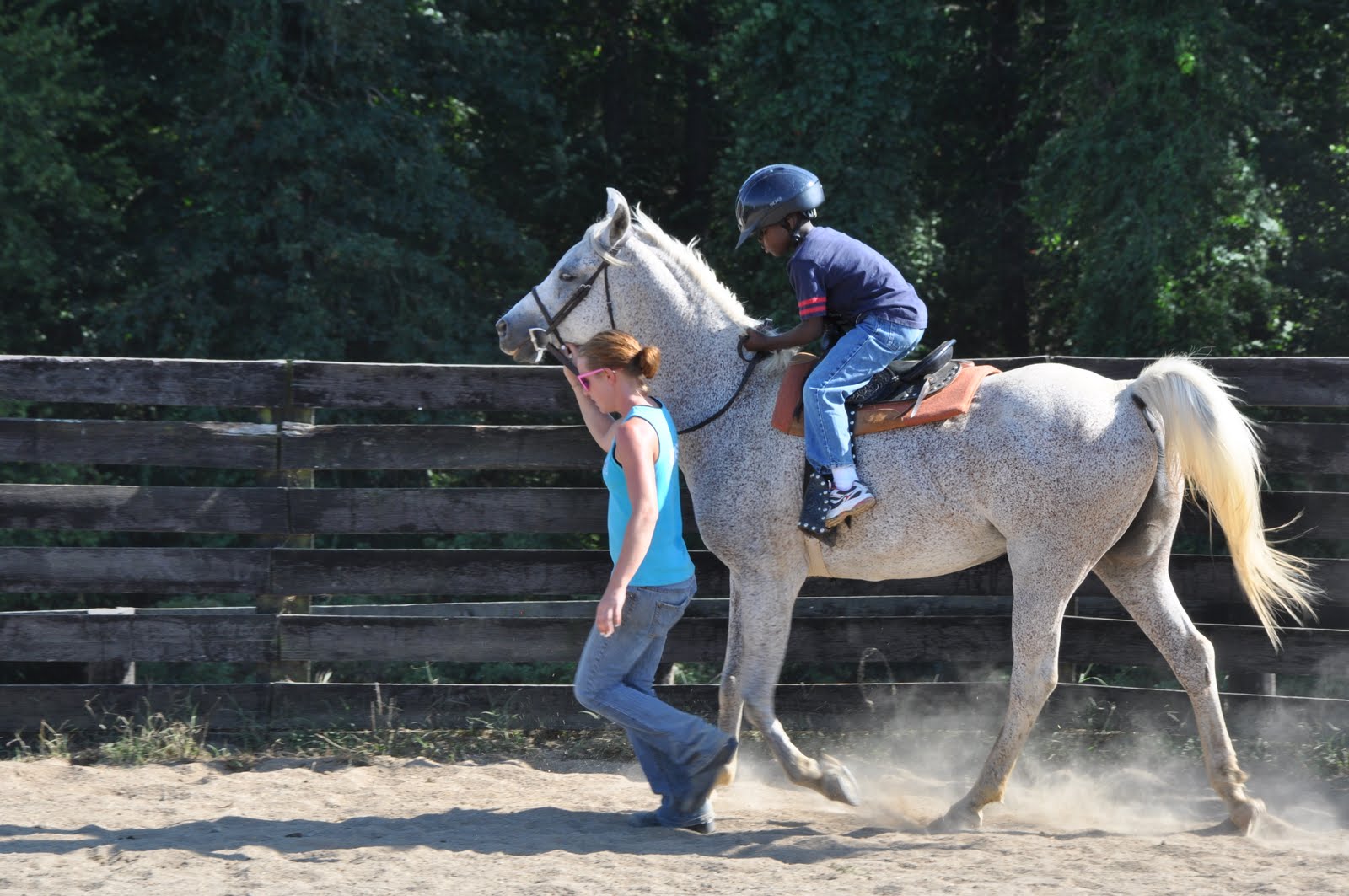 [horsey+089.jpg]