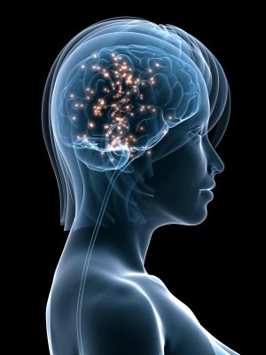 Brain And Mind