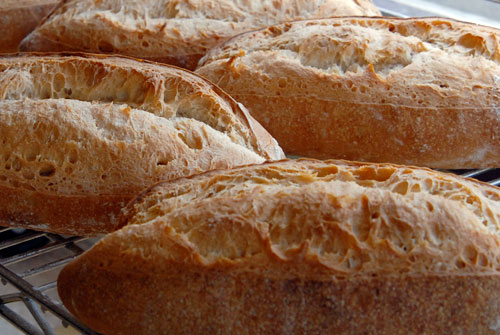 sourdough sourdough pretzel recipe