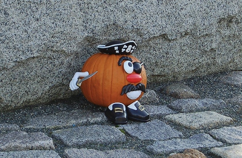 [Pumpkin+Pirate.jpg]