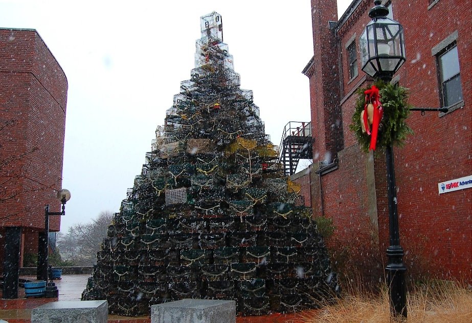 [Lobster+Trap+Tree.jpg]