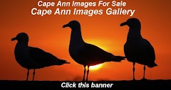 Purchase Images !