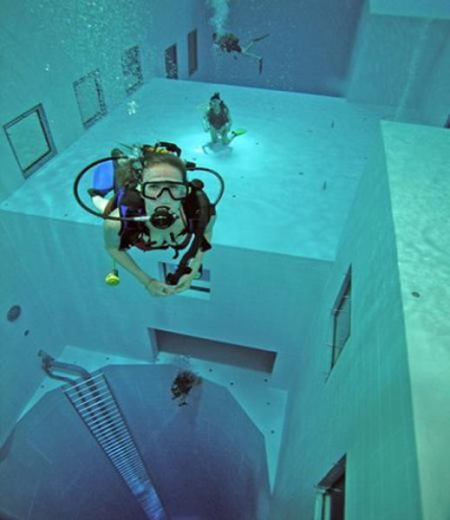 La piscina La piscina