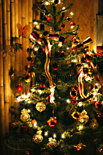 [tree1.jpg]