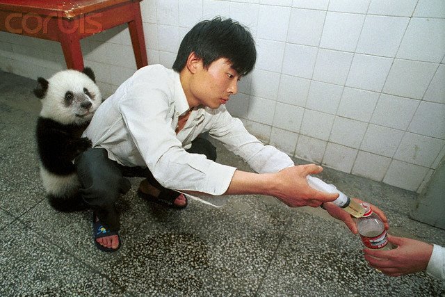 [image007.jpg]