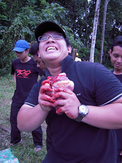 jantung lembu