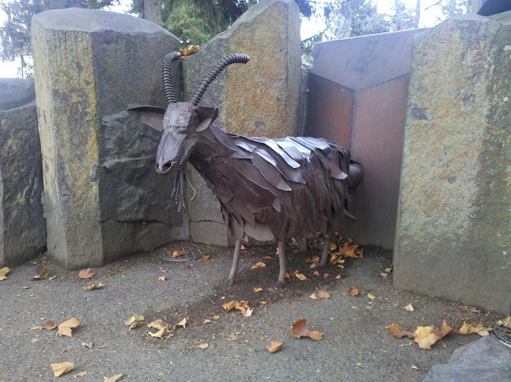 Angel Goat