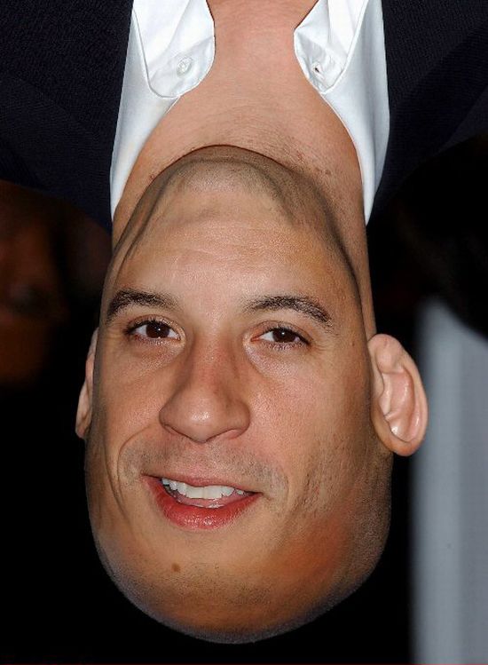 Hollywood Celebrity - Refresh funny celebrity photos. Hollywood Celebrity - Refresh