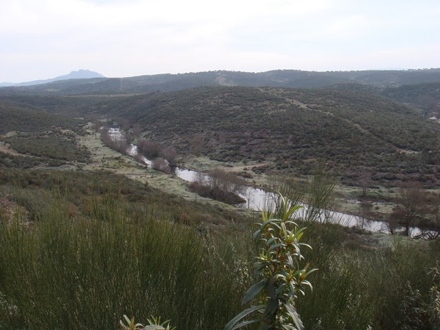 [DSC01673.JPG]