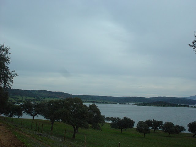 [DSC01893.JPG]
