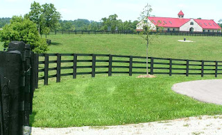 farm rubber horses fences darley fencing lexington ky somewhere clock five undulating crisscrossing bluegrass uses thing past wooden classic