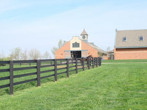 farm darley somewhere clock five stallion