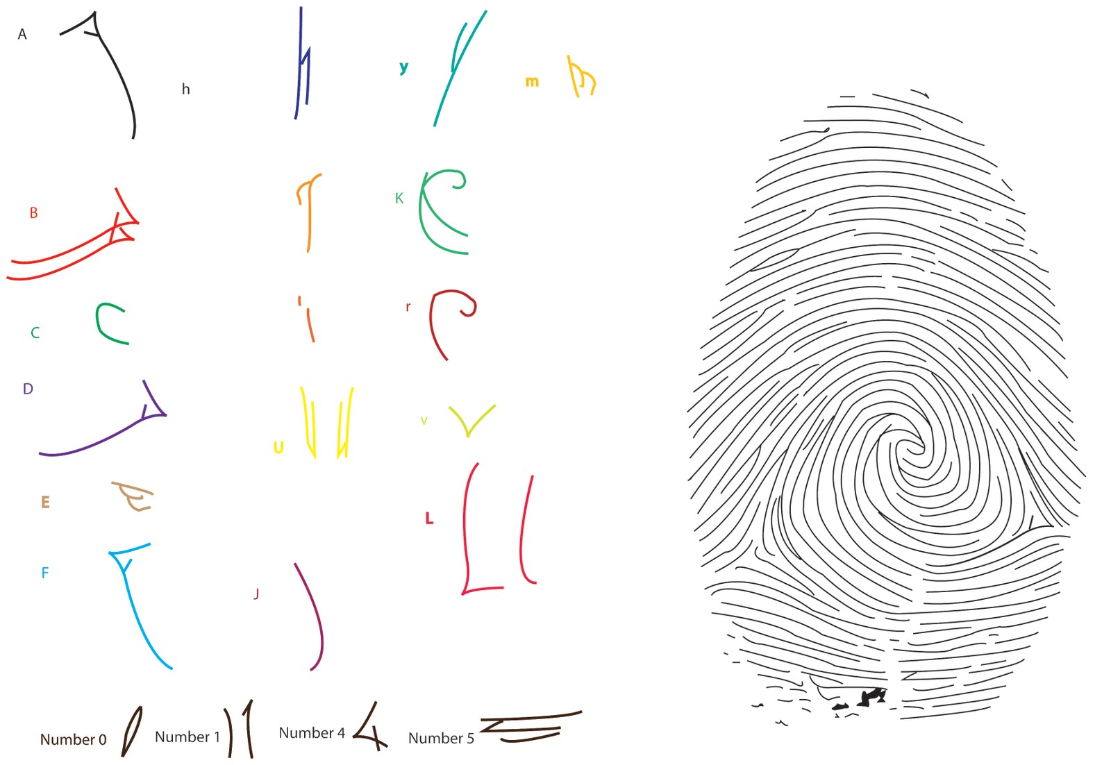 http://4.bp.blogspot.com/_BSwT0OnmXiM/S8H-piXemTI/AAAAAAAAAKs/TqBF-ZlT6Rw/s1600/letters+found+out+of+fingerprint.jpg