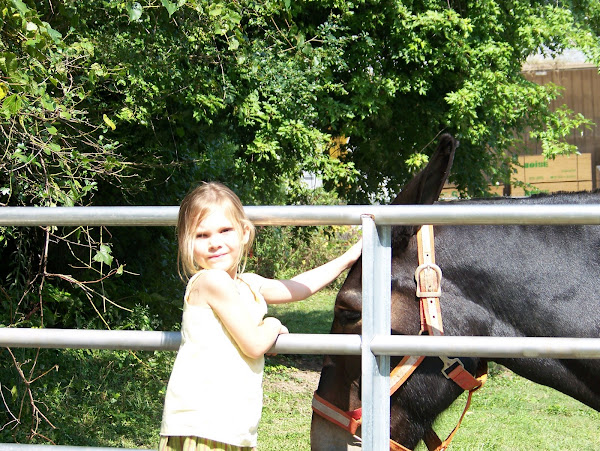 Isabelle petting Jill the mule