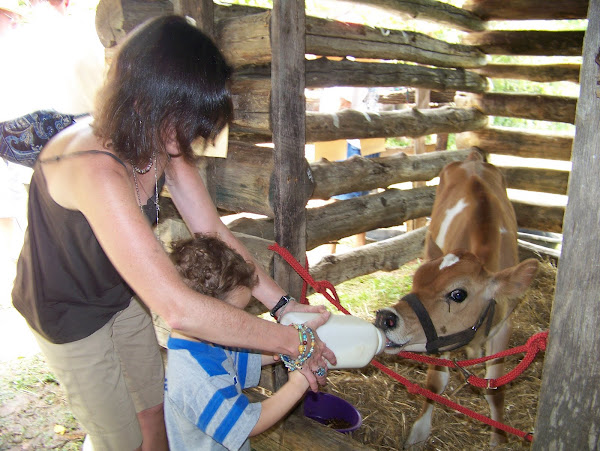 Elizabeth (with help from her mother) feeds "Hub" (a jersey cow) with a bottle
