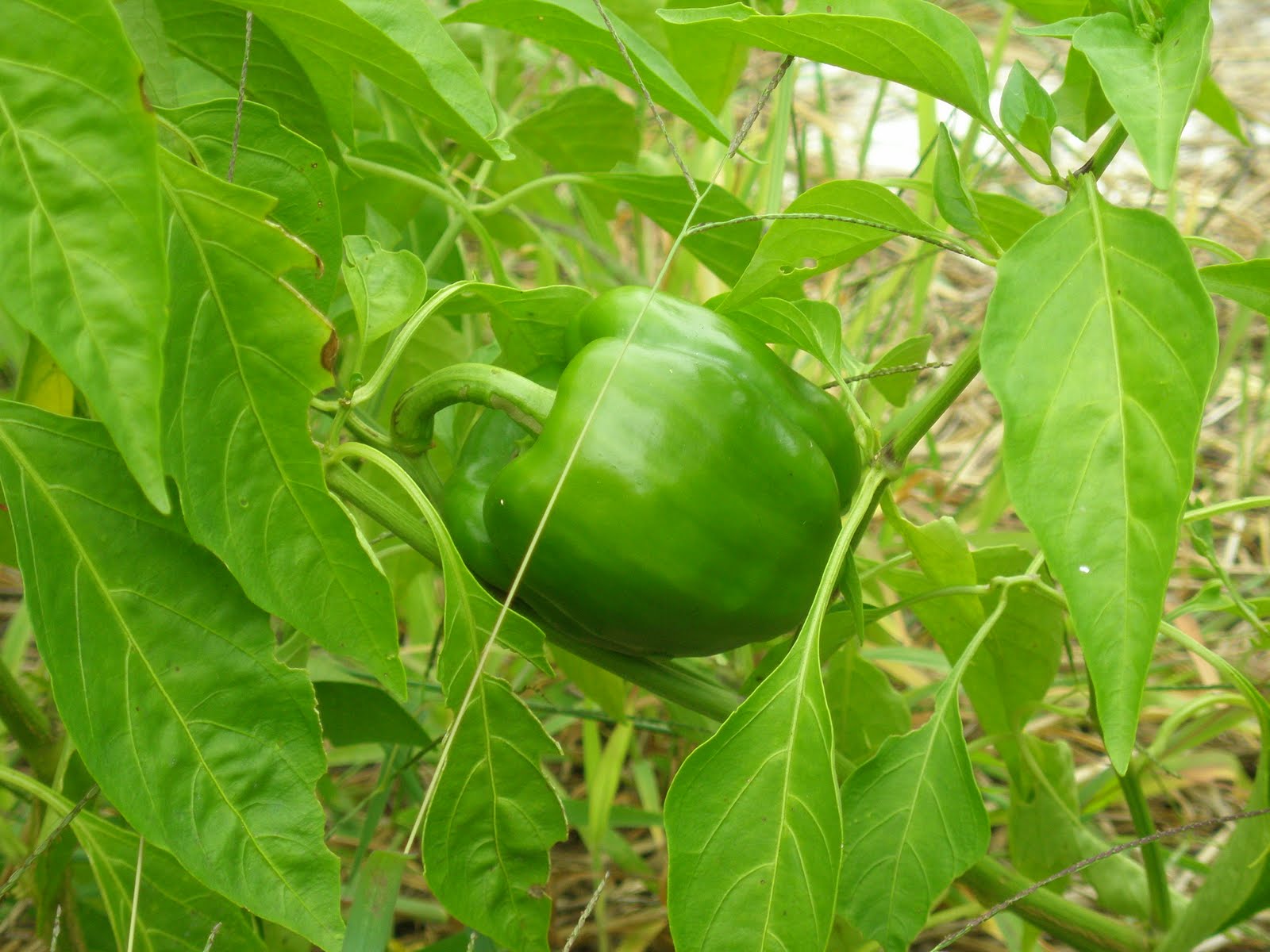 [P9110251.JPG]