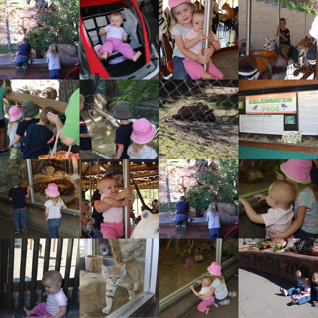 [collage70.jpg]