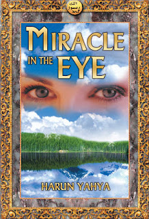 Miracle In The Eye